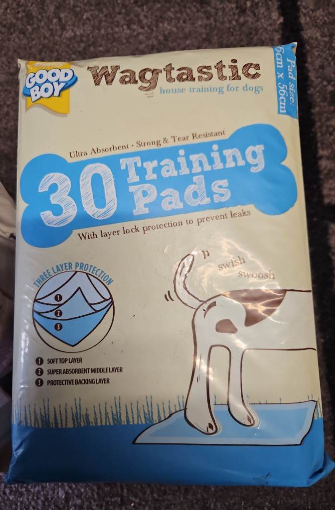 38 Training pet pads 