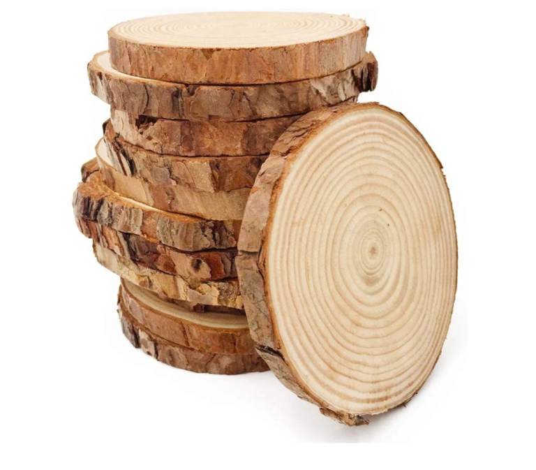 10 x Tree Branch unfinished Slices