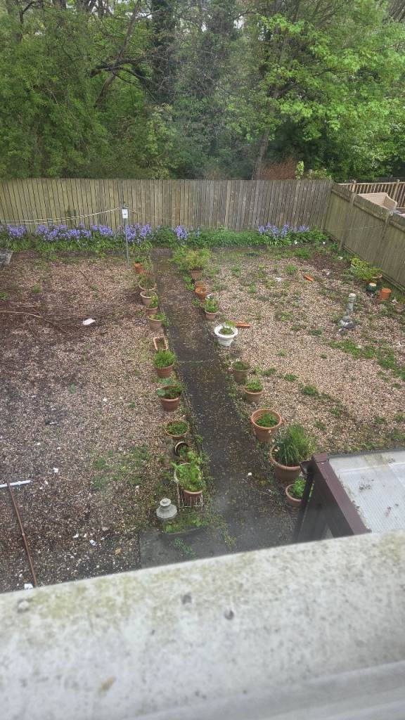Plant Pots - free uplift