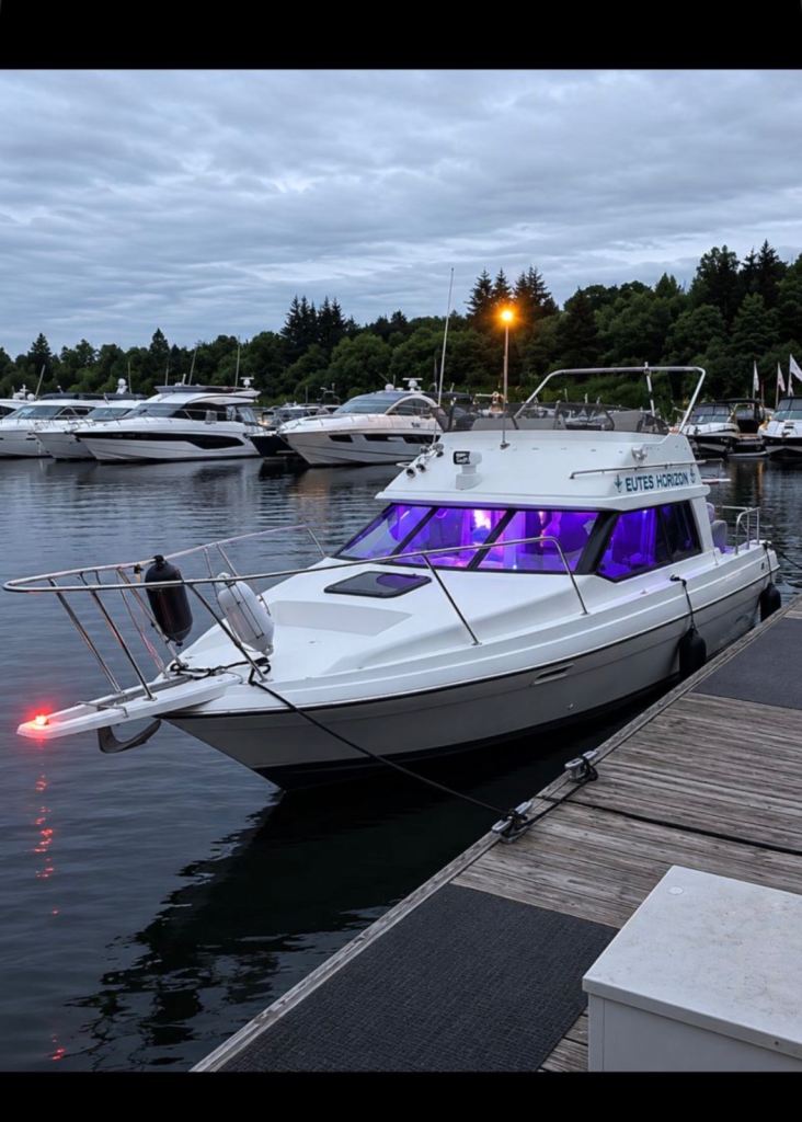 Bayiner cierra 2556 