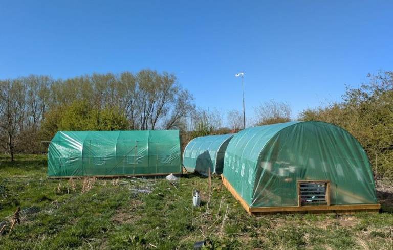 Large Walk In 6x3 Meter Polytunnel Greenhouse | Frame and PE Cover