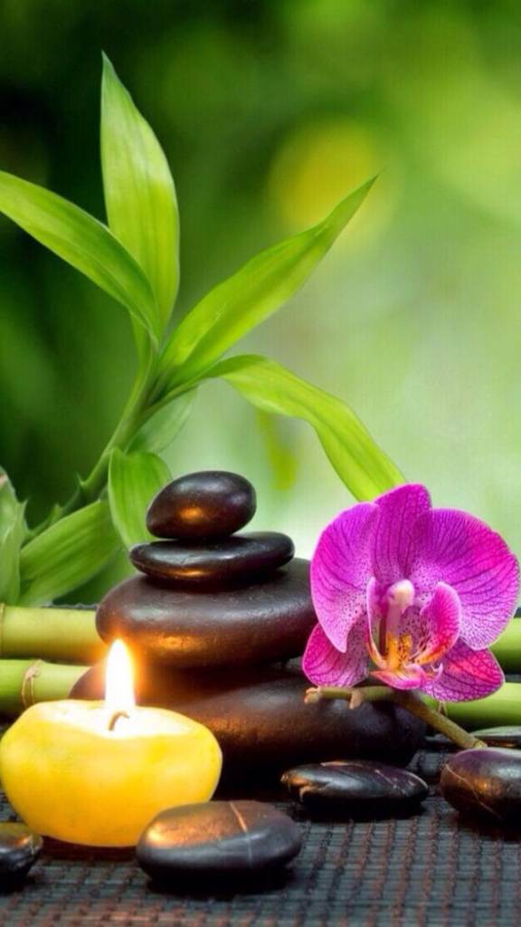 New thai lady in penny Meadow 