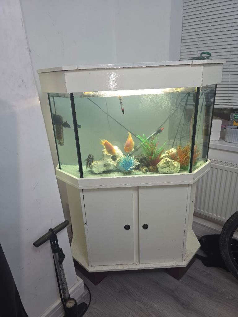 Fish tank & stand/cabinet 