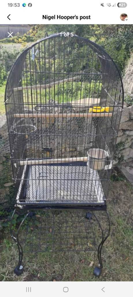 bird cage