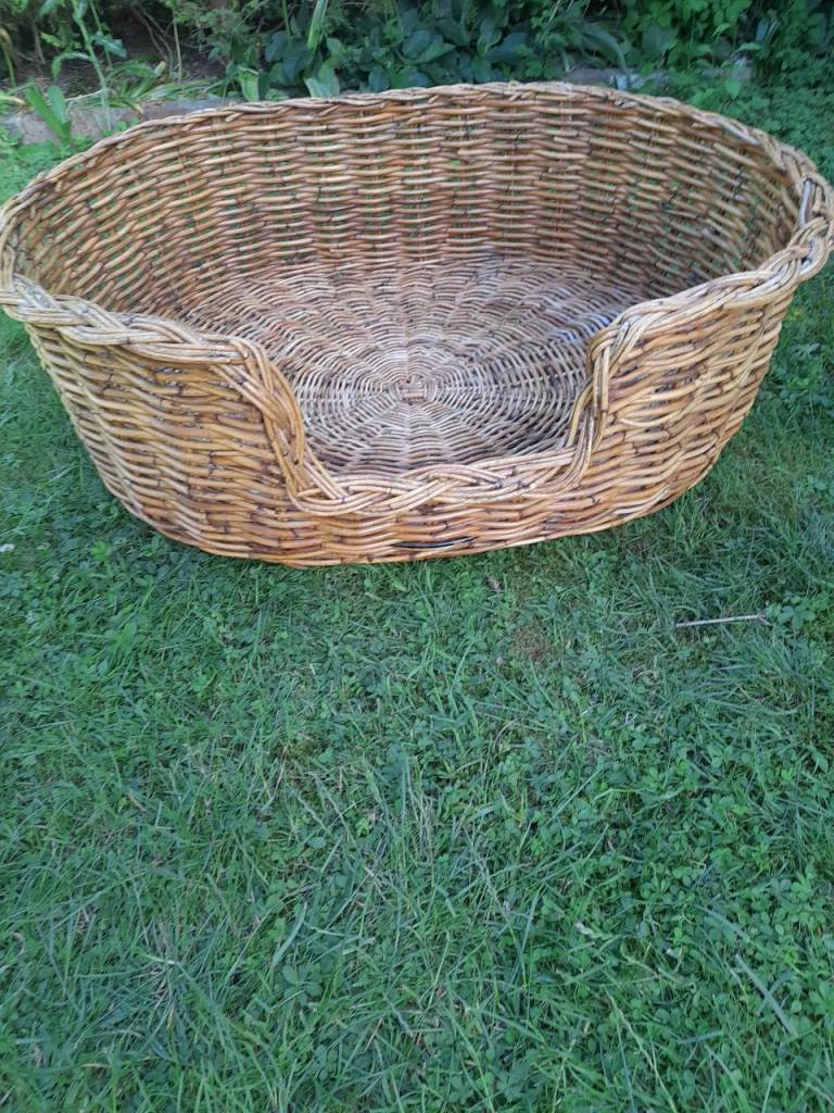 Large brand new wicker dog basket 