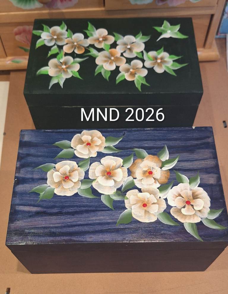 Pair of Hand-Painted Wooden Storage Boxes – Good Condition