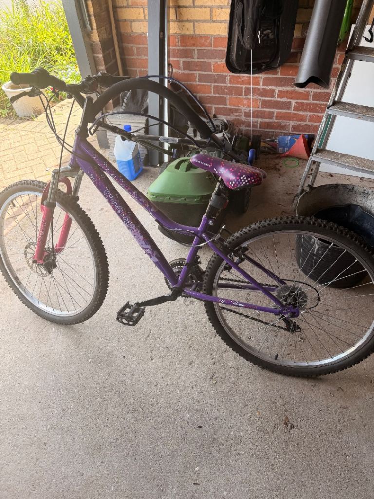 Girls mountain bike 