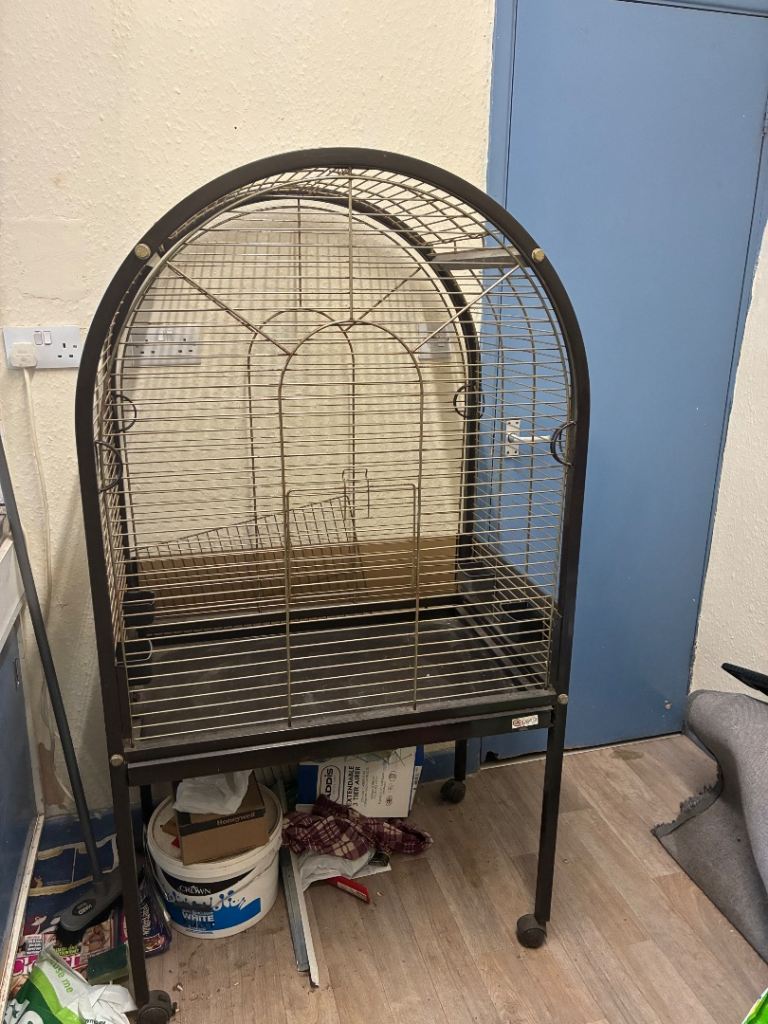 Parrot cage 