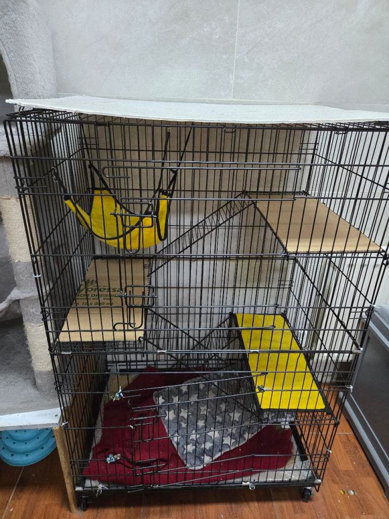 Cat / Kitten cage for sale