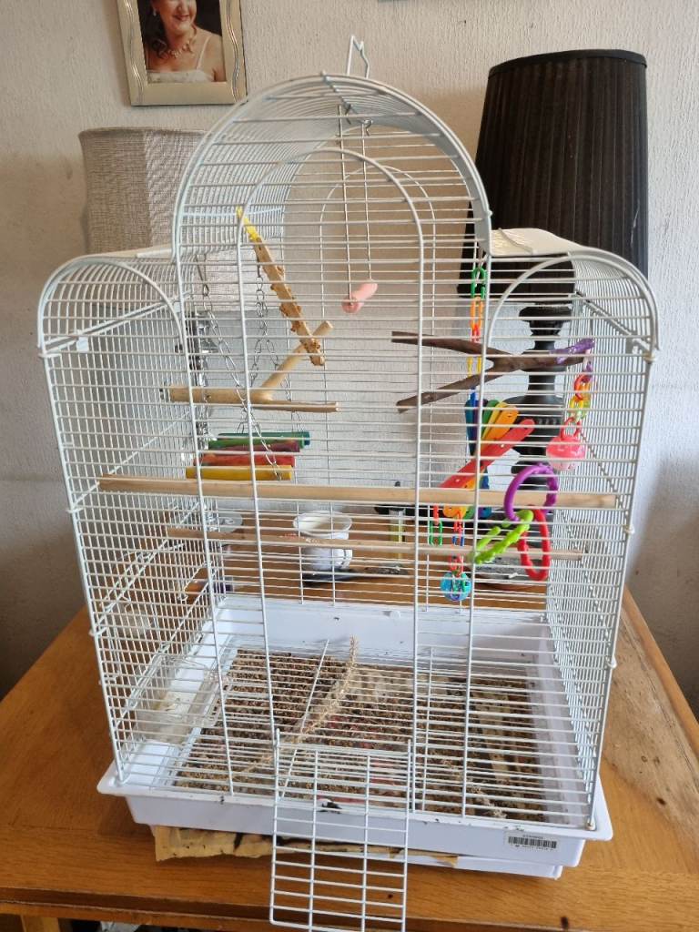 Large white bird cage