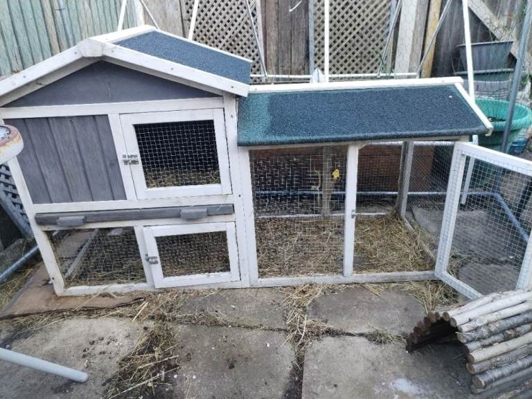 Rabbit hutch and chicken enclosure