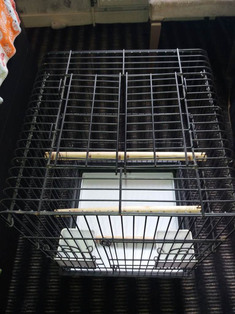Parrot cage 