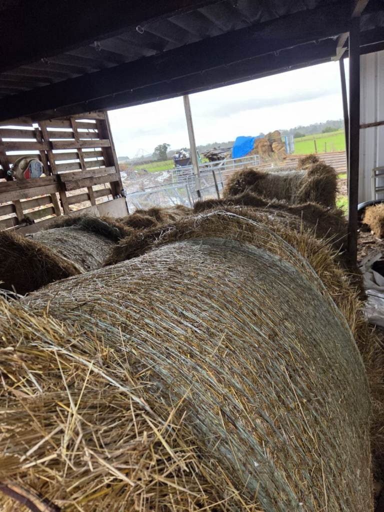Hay Bales - large round