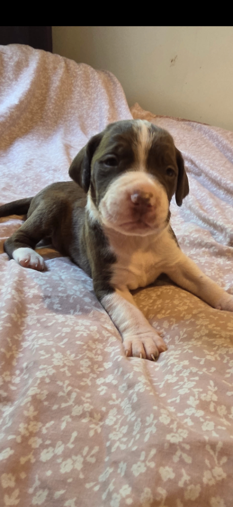 Last boy available due to timewaster