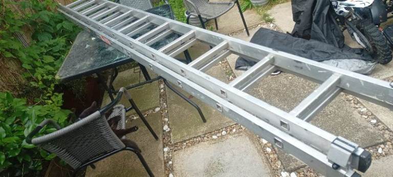Two section Youngman100 ladder