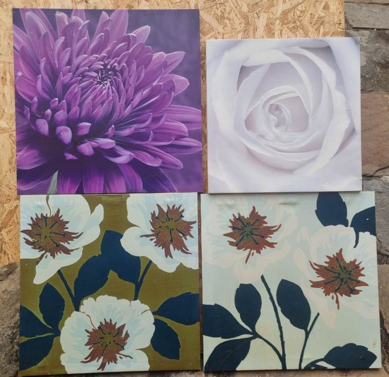 Canvas (Four )