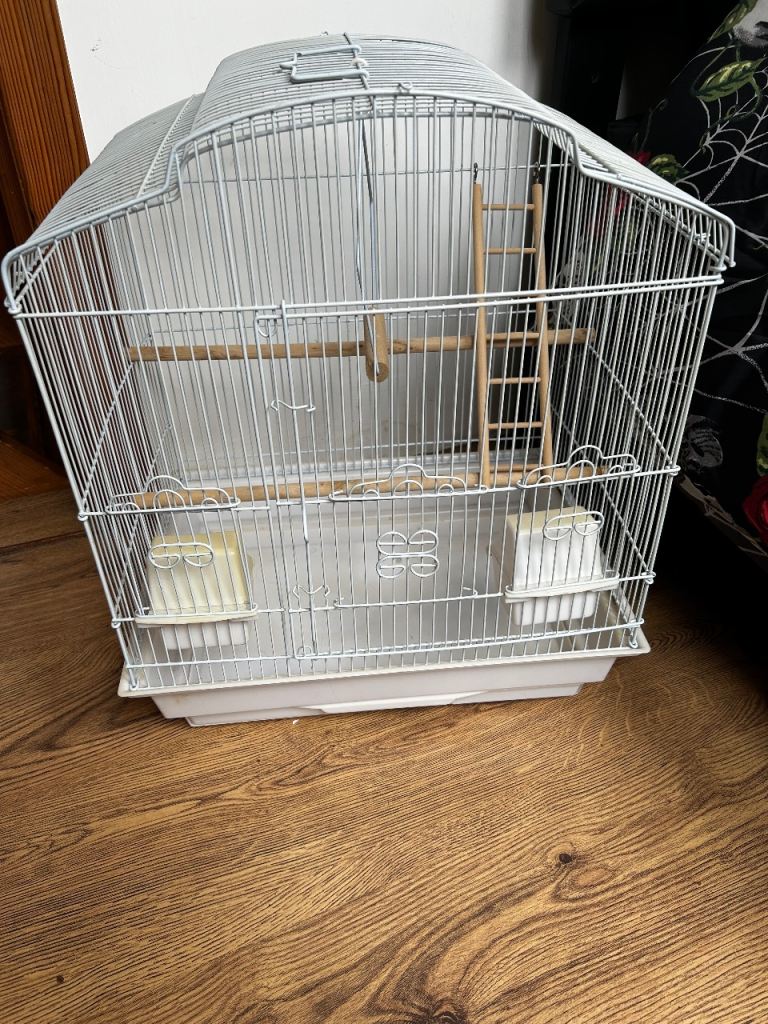 Small bird cage 