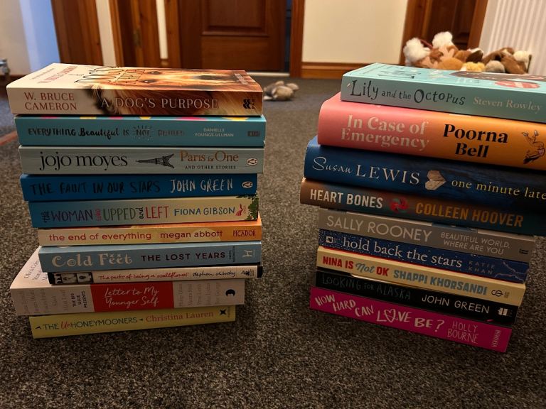 Ladies 31 book bundle