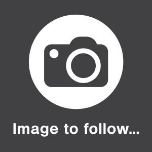 2022 Citroen Relay 2.2 BlueHDi H2 Van 140ps Enterprise PANEL VAN Diesel Manual