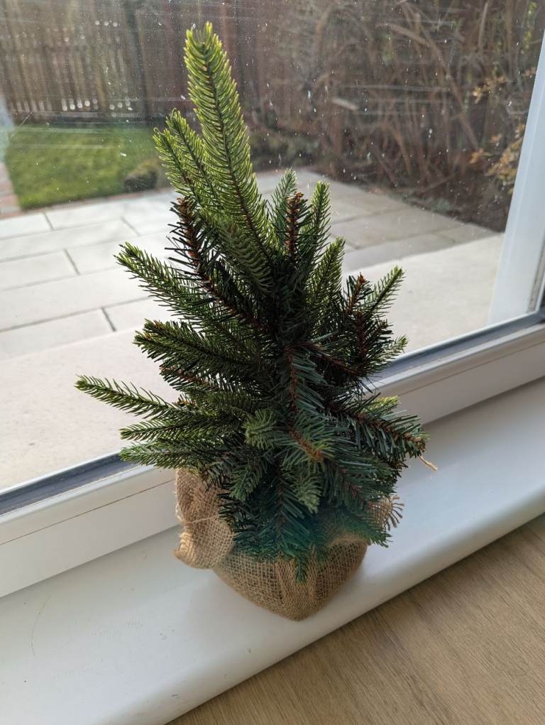 White Company small Christmas Fir Tree £5