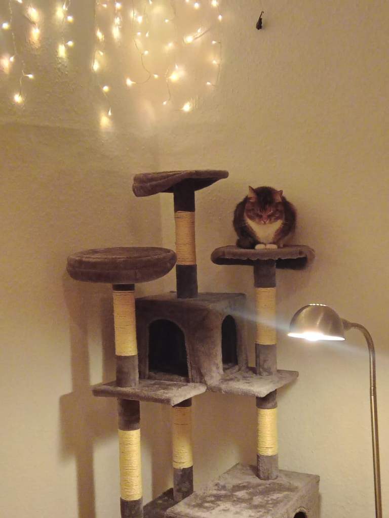 Tectake Cat Tree, Mogli Grey