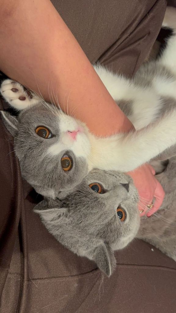 Looking for a new home 