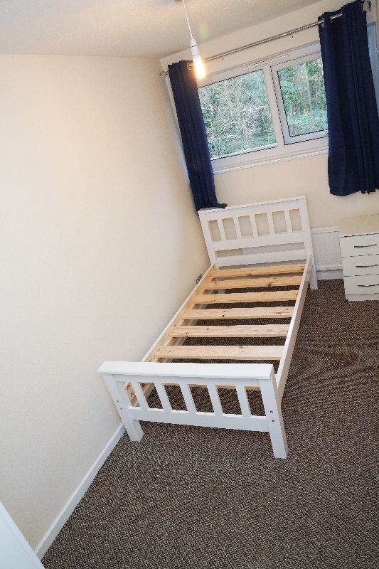 Move into a neat single room - professionals