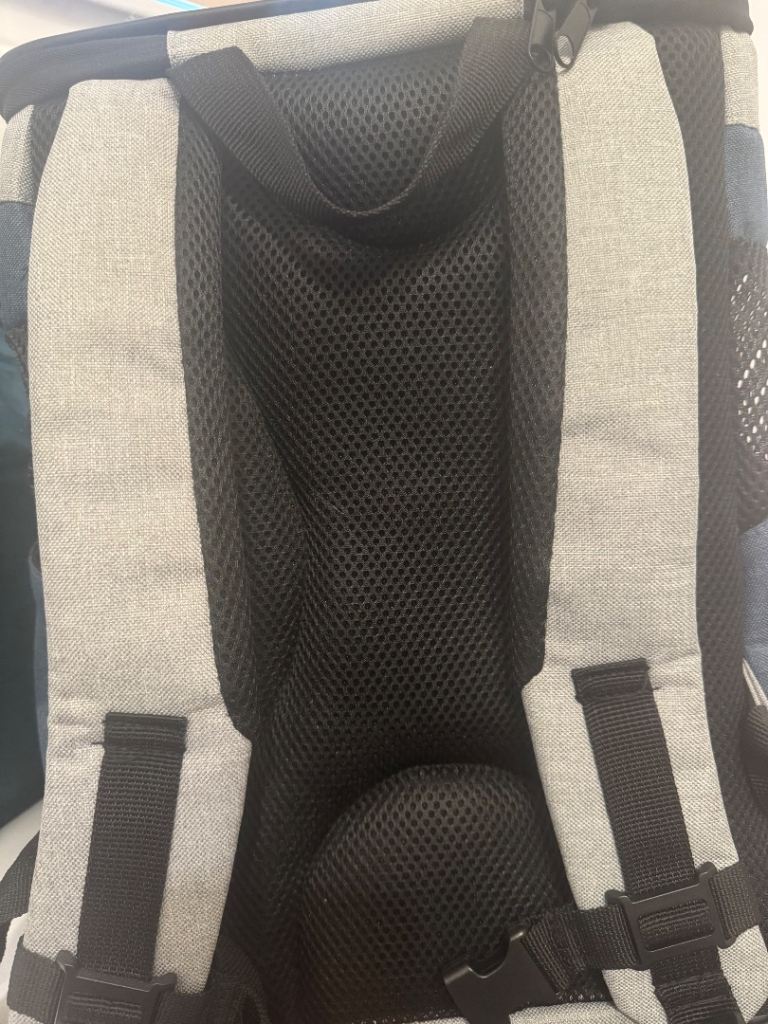 Pettok Pet Carrier Backpack – As Good As New!