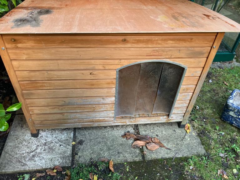 Large wooden dog kennel
