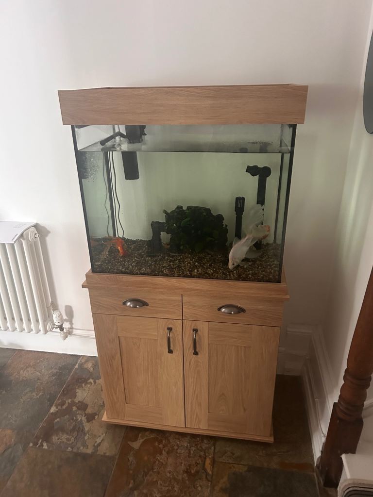 Fish tank 