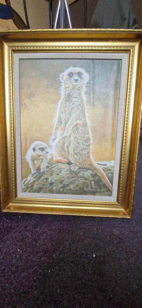 Large Collectible picture Meerkats Stephen Gaywood 