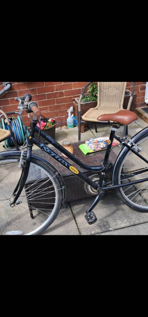 Feflex bike