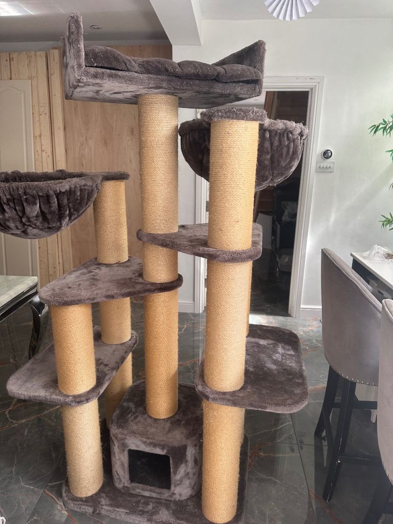 Large Cat Scratcher 