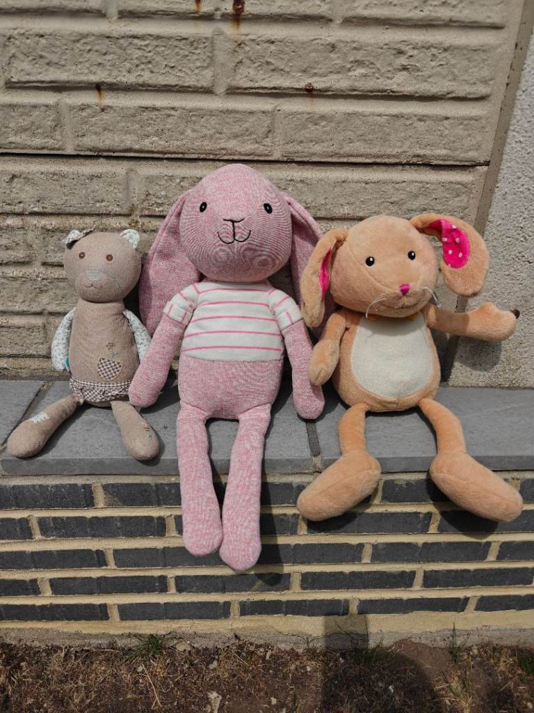 Teddy bear bundle rabbits bear 
