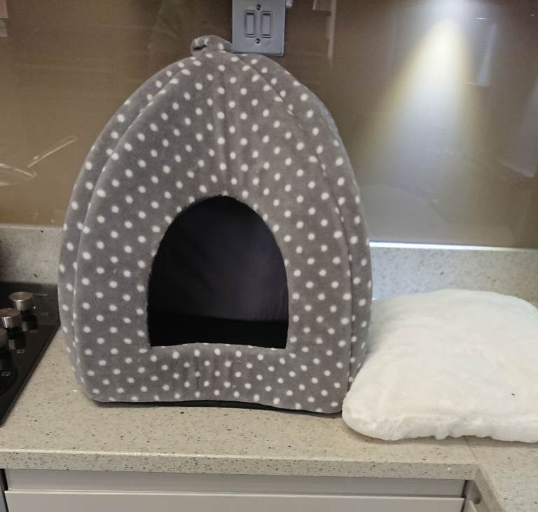 Pet igloo bed 