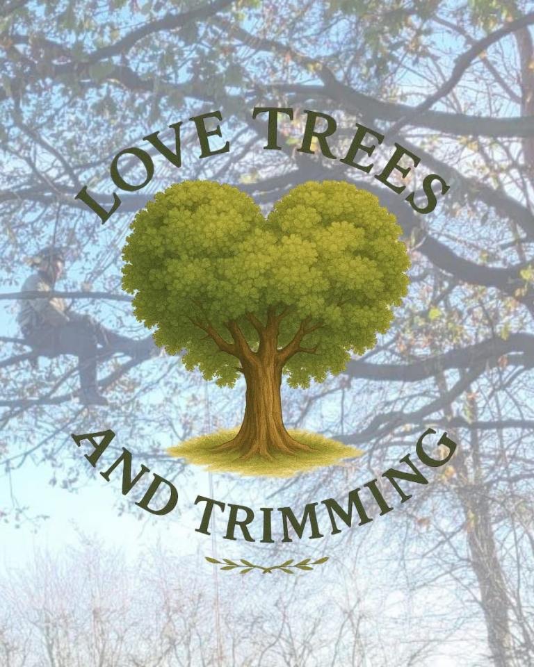 Professional Tree Surgeon | Hedge Cutting | Tree Removal | Fully Insured