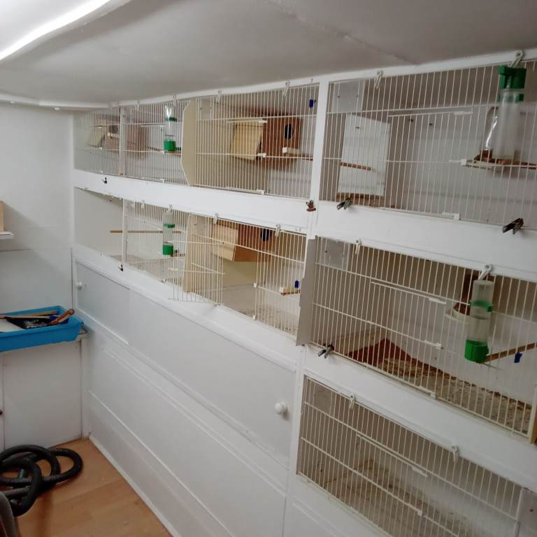 Cage fronts drinkers and nest boxes 