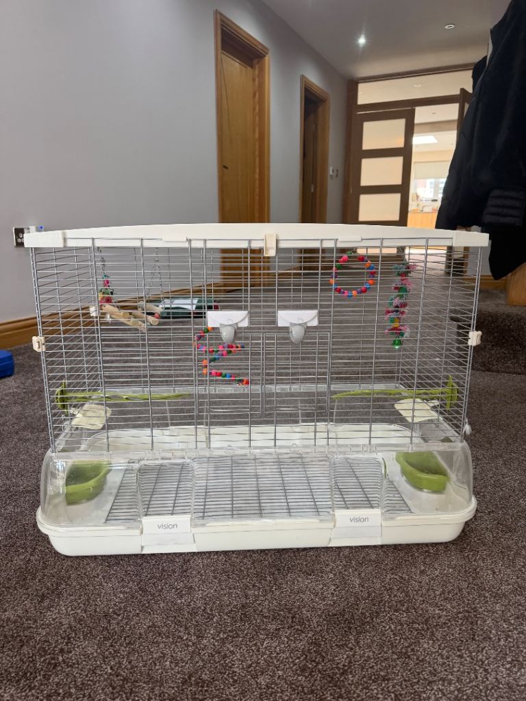 Vision Bird Cage With Toys