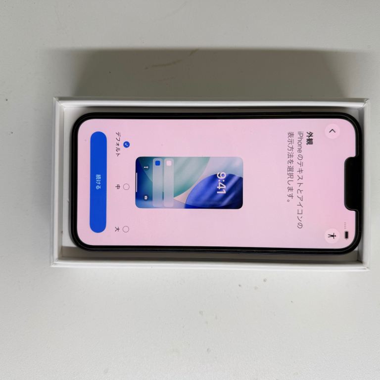 Apple iPhone 13