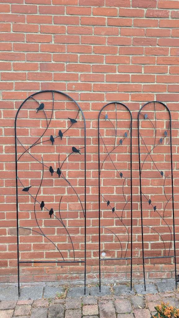 Black metal Garden trellis 