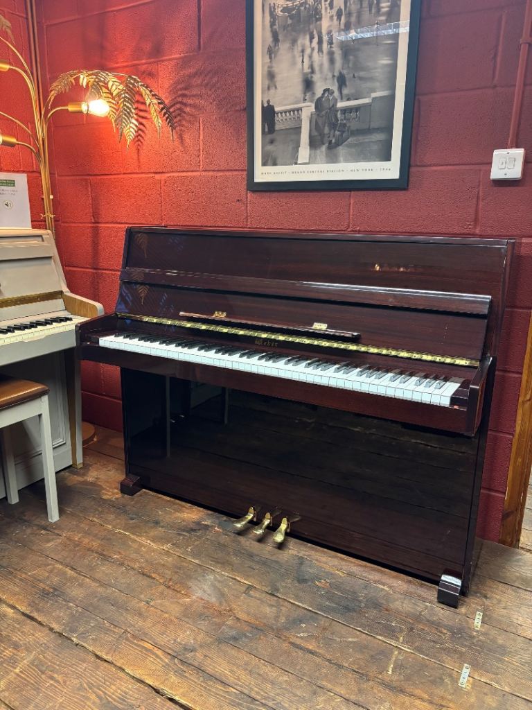 🎹 SALE! Weber WDE 410 & Silent Pedal - CAN DELIVER