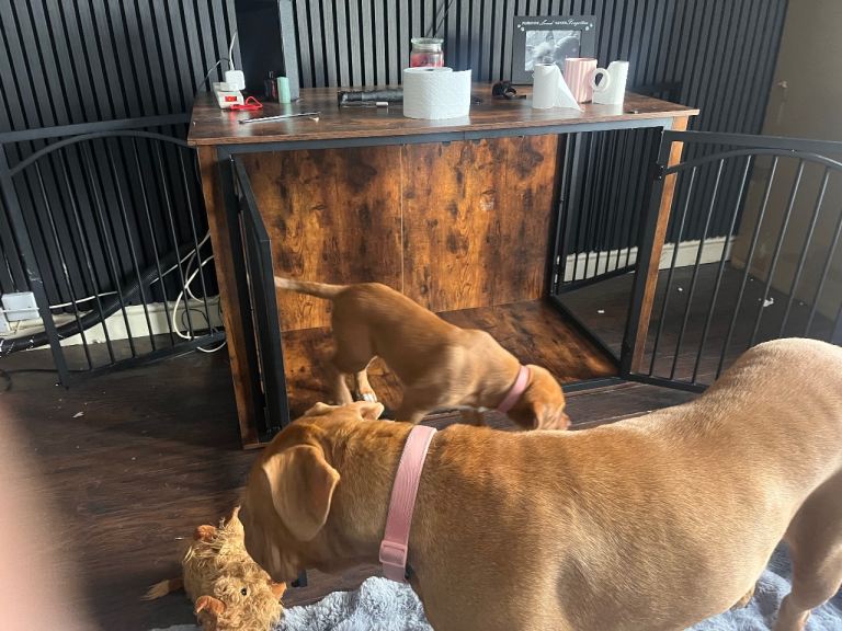 Dog crate/sideboard