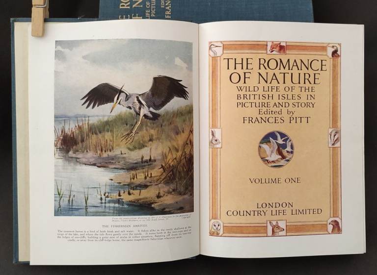 The Romance of Nature-1937-British Isles wildlife-4 volume set-colour illustrations-£20 the 4 vols