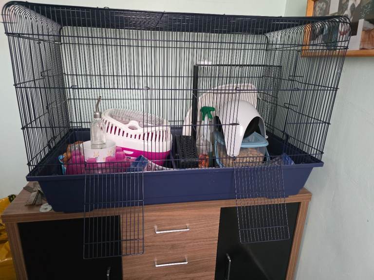 Mamble 100 rat cage and accessories 