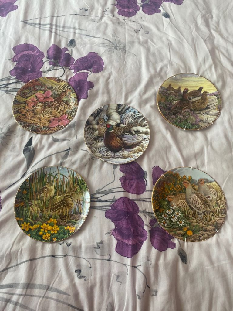 Country Artists David Binns Game Bird Collector Plates - Set of 5, As Good As New