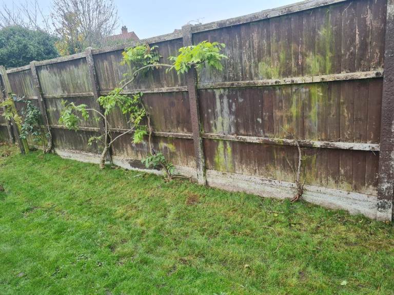 Gardener wanted, fence panels available