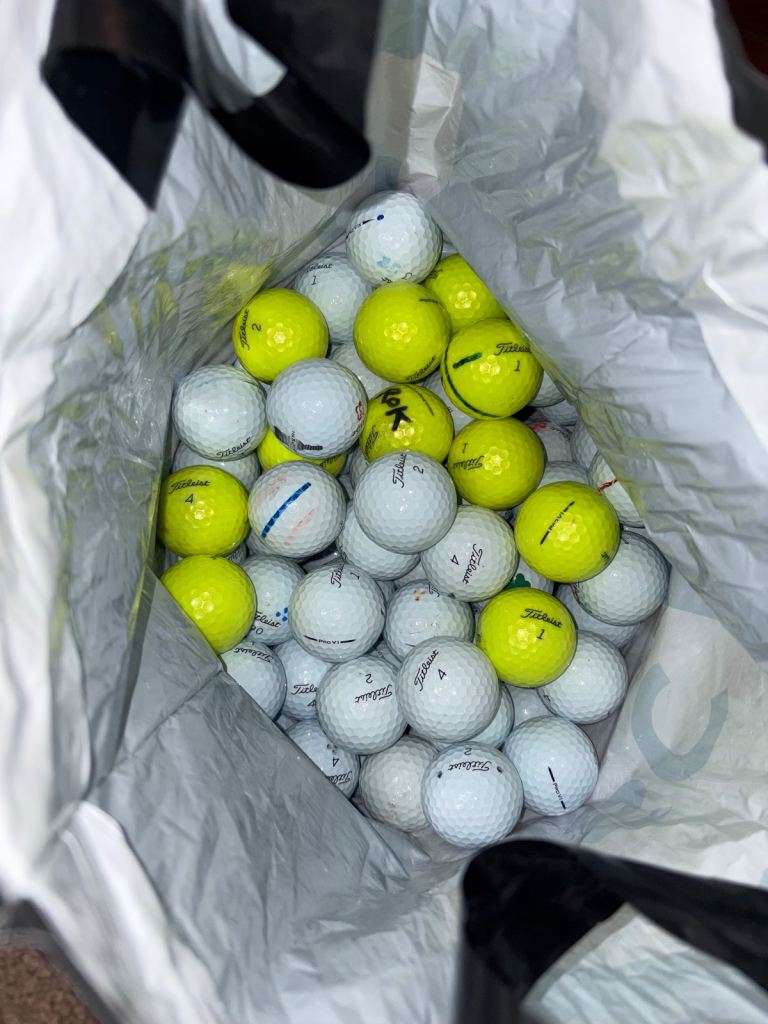 Titleist pro v 1 golf balls 