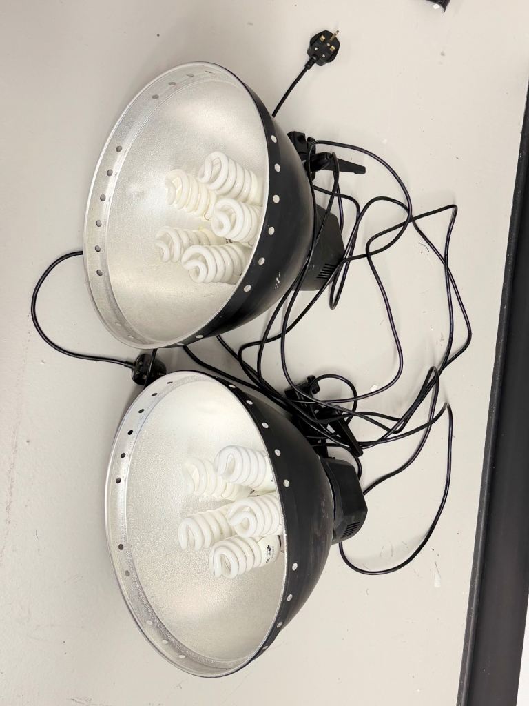 Pair of Studio Lights with Energy Saving Bulbs – Good Working Order