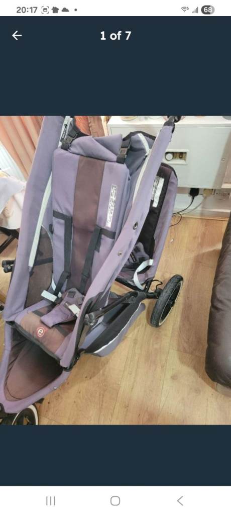 Phil and Tedo double buggy 