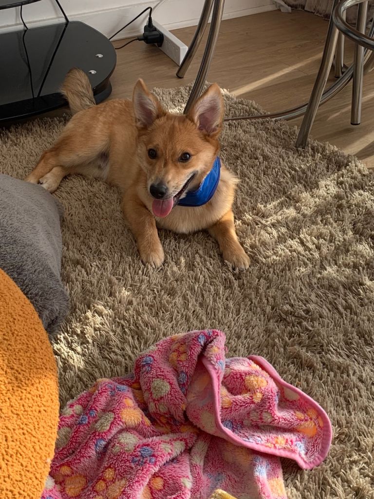 Handsome boy 